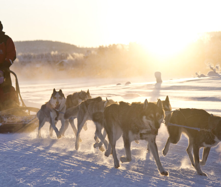 Finnish Lapland offers a magical wonderland all year round to explore. Travel to Finnish Lapland with Off the Map.